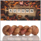Pre-Order Deeply Autumn 'BEACON' DK – Delights of Autumn Collection