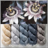 Passionflower Hues 'LUSTER' WORSTED