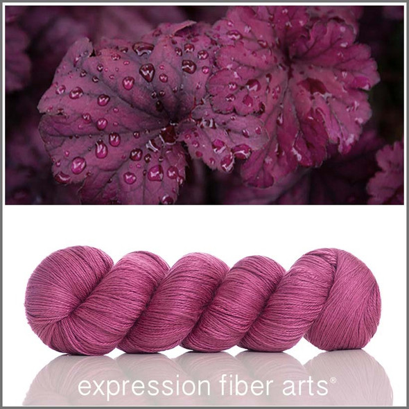 Heuchera 'OASIS' FINGERING