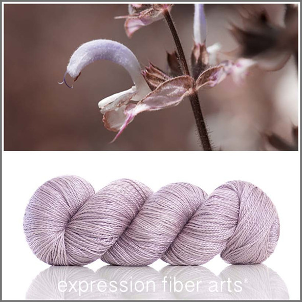 Pre-Order Clary Sage 'WISHGLOW' SPORT Pre-Order Clary Sage 'WISHGLOW' SPORT