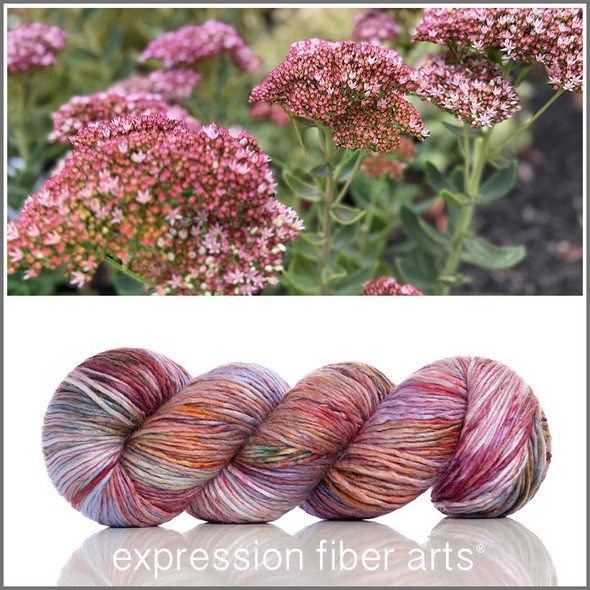 Sedum Autumn Joy 'Pearlescent' Worsted Sedum Autumn Joy 'Pearlescent' Worsted