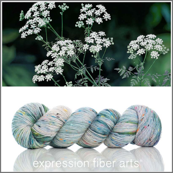 Pre-Order Poison Hemlock 'COSMIC CONFETTI' FINGERING