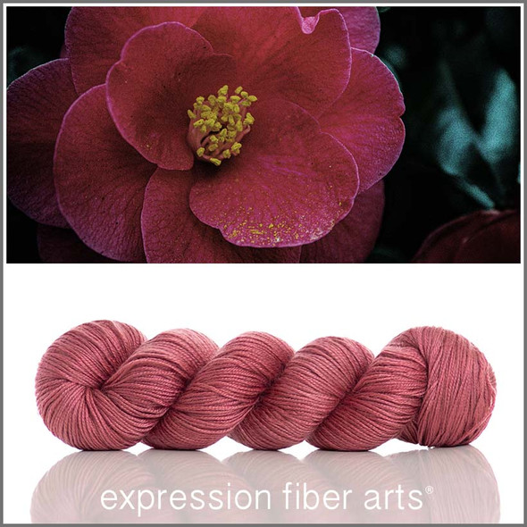 Pre-Order Crimson Camellia 'BEACON' DK