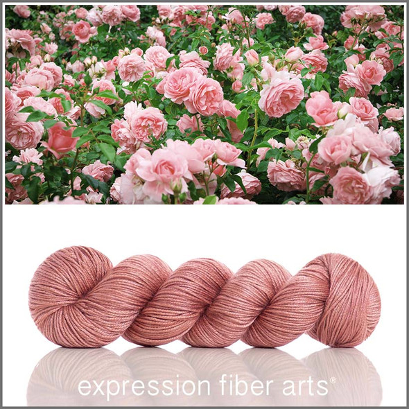Pre-Order English Rose 'BEACON' DK