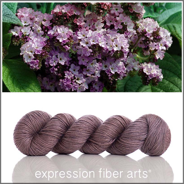 Pre-Order Midnight Heliotrope 'BEACON' DK