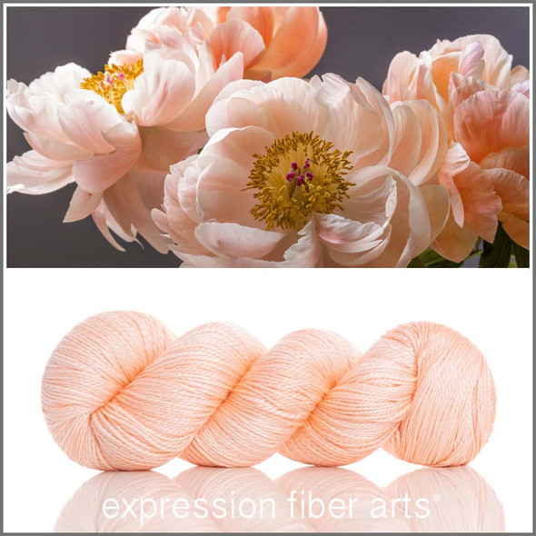 Pre-Order "My Daily Momentum Journal" & Peach Fuzz 'WISHGLOW' SPORT Bundle