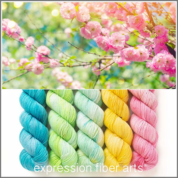 Pre-Order Sunlit Nectar Hues 'FRONTIER' FINGERING KIT