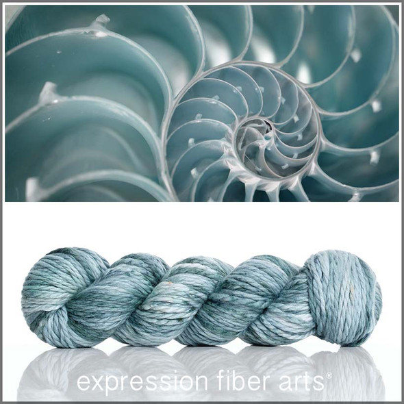 OOPSY Conch Shell 'BUTTERY' BULKY