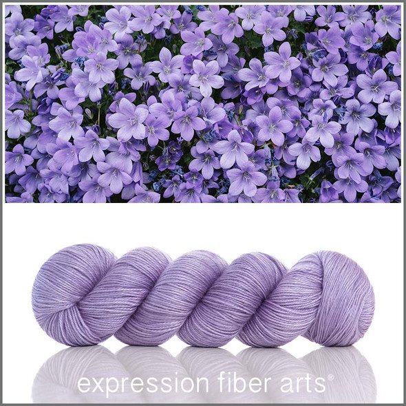 Campanula 'LUSTER' SPORT