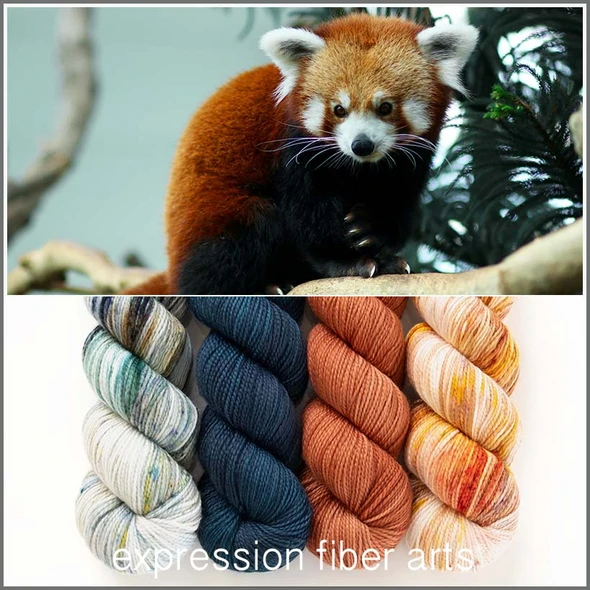Pre-Order Red Panda Hues 'BUTTERY' SPORT