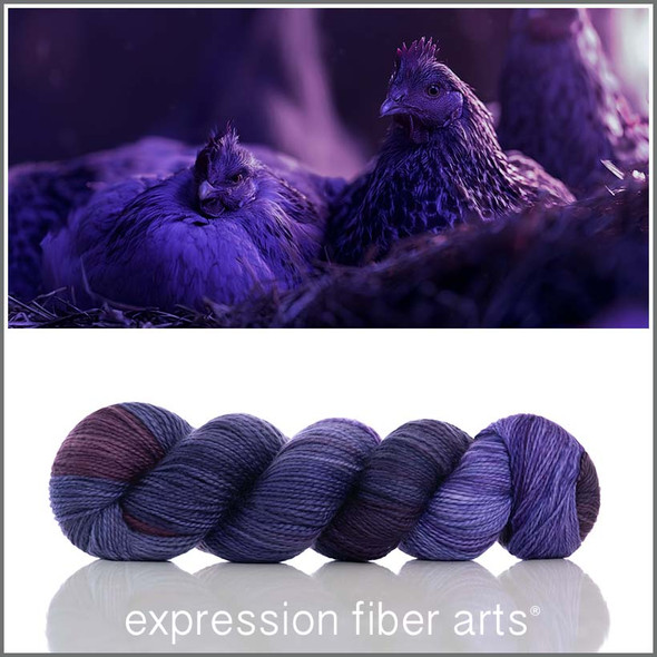 Pre-Order The Dark Roost 'BUTTERY' SPORT