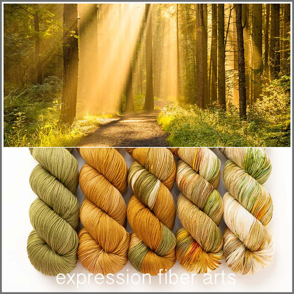 Rooted and Resilient Hues 'SINCERE' SOCK KIT