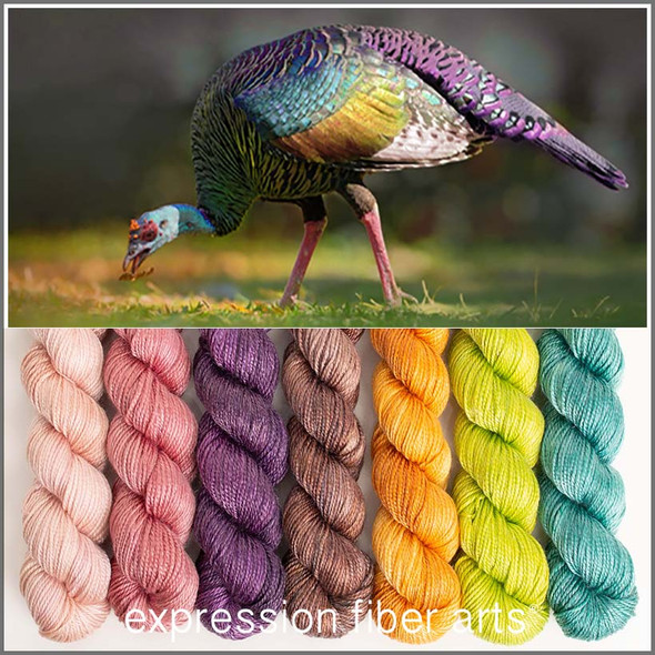 Ocellated Turkey Hues 'LUSTER' SPORT MINI KIT