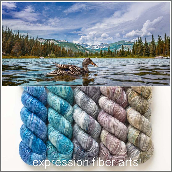 Wetland Hues 'ALPACA SILK' DK
