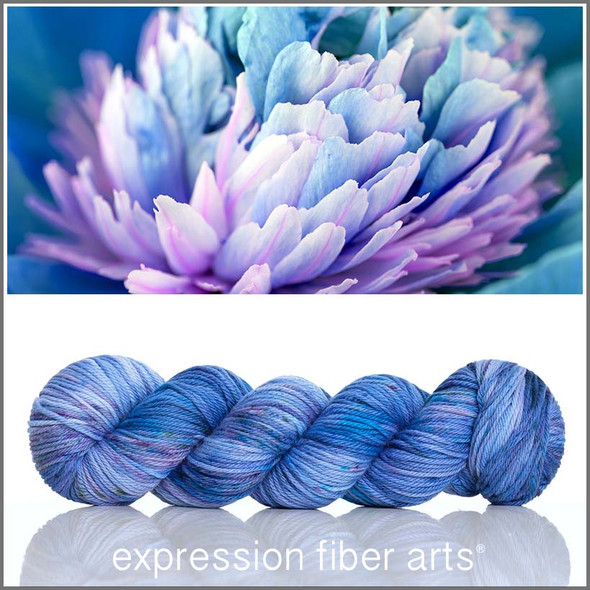 Caricia 'ENDURING' WORSTED Caricia 'ENDURING' WORSTED