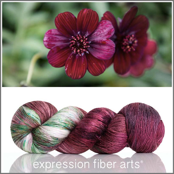 Pre-Order Chocolate Cosmos 'PEARLESCENT' FINGERING