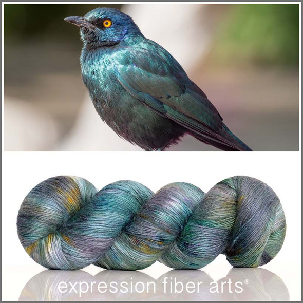 Greater Blue-Eared Starling 'PEARLESCENT' FINGERING' Greater Blue-Eared Starling 'PEARLESCENT' FINGERING'