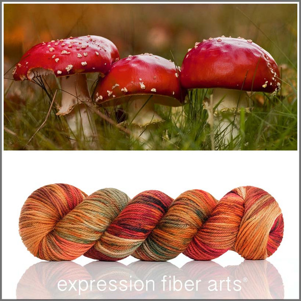 Toadstool 'ENDURING' WORSTED