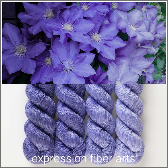 Clematis Hues 'LUSTER' SPORT KIT 