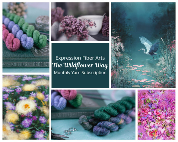 Pre-Order Positive Intention of the Month - Monthly Subscription Yarn