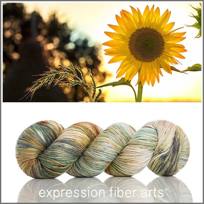 Pre-Order Helianthus 'MOONGLEAM' DK