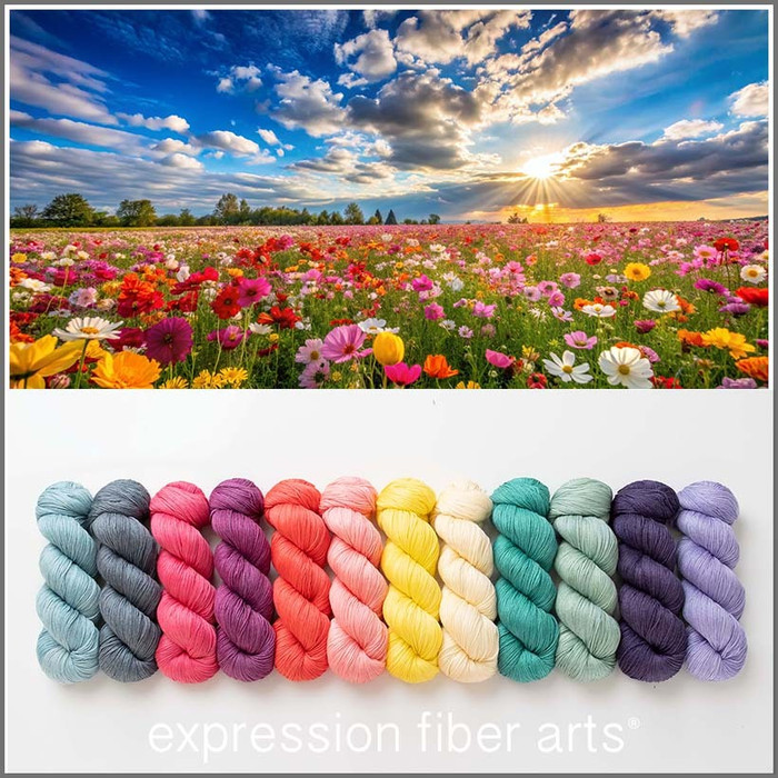 Pre-Order Connote Radiant Fairytale 12-Skein 'CASHSILK' SOCK KIT