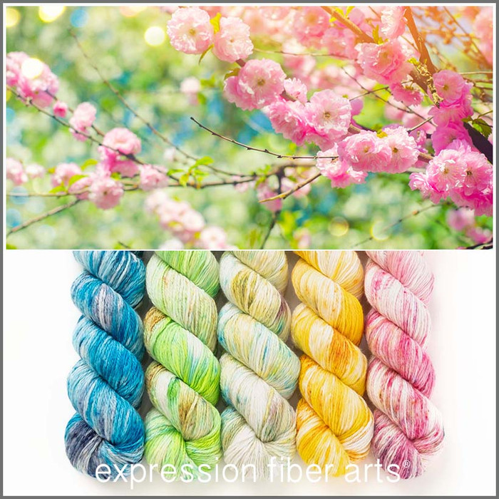 Pre-Order Sunlit Nectar Hues 'FRONTIER' FINGERING KIT