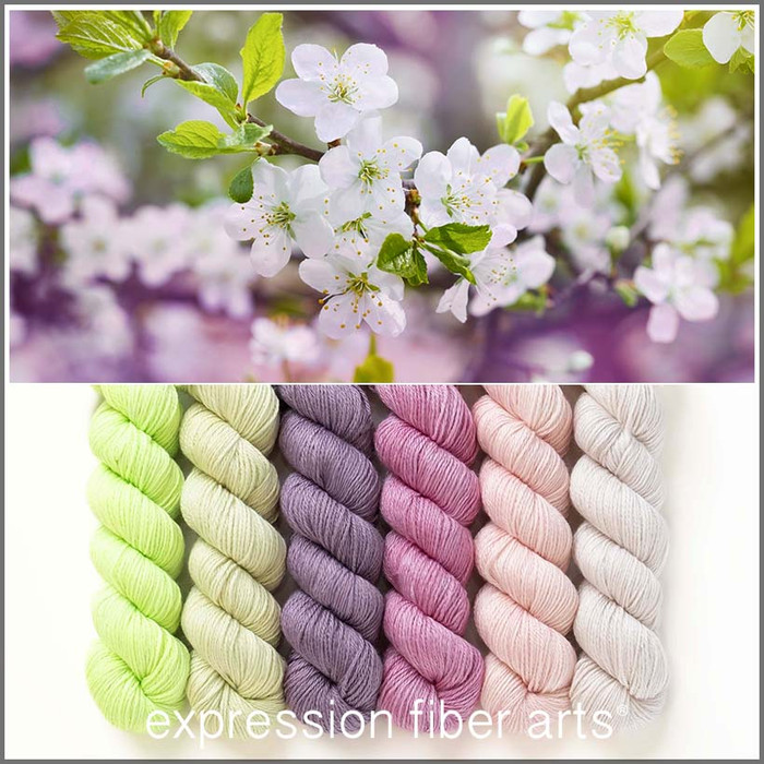 Pre-Order Time to Bloom Hues 'FRONTIER' FINGERING KIT