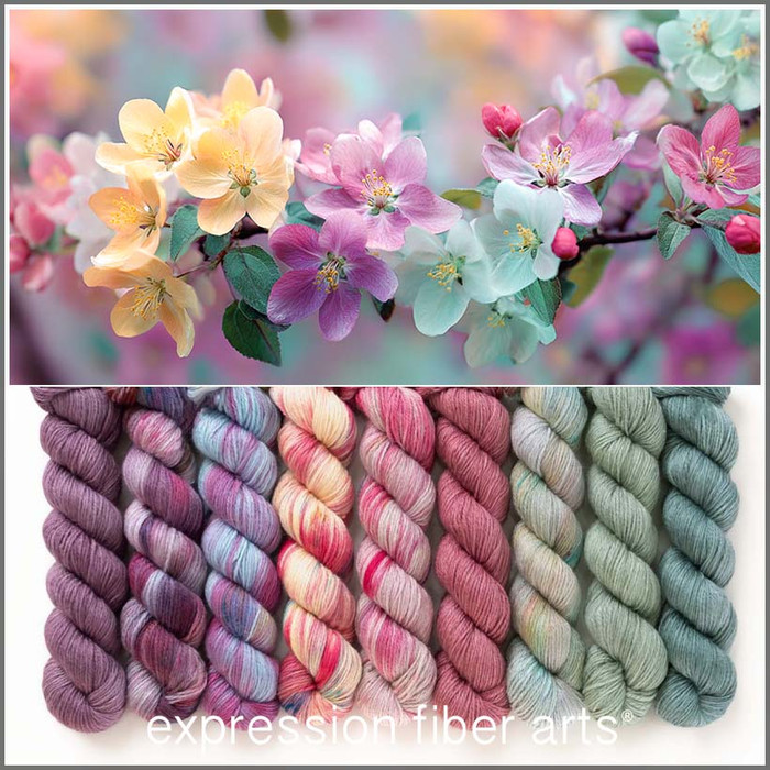 Pre-Order Wordless Wonder Hues 'FRONTIER' FINGERING KIT