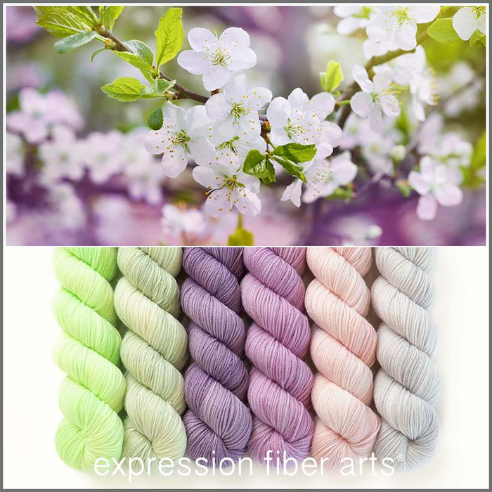 Time to Bloom Hues 'SINCERE' SOCK MINI KIT