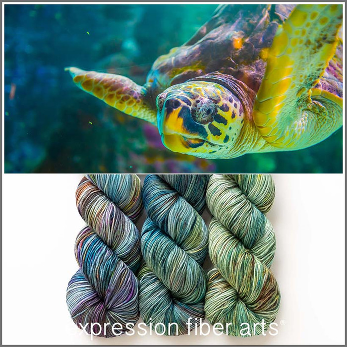 Sea Turtle Hues 'CREMA' SOCK KIT
