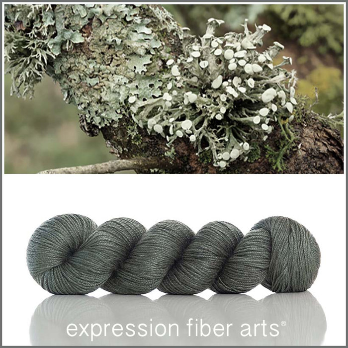 Lichen 'BEACON' DK