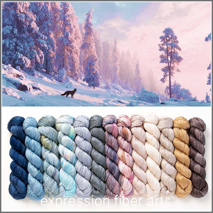 Northern Wild Hues 'ALLURE' FINGERING KIT