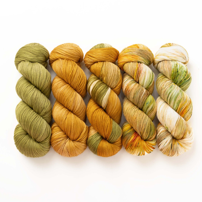 Rooted and Resilient Hues 'SINCERE' SOCK KIT