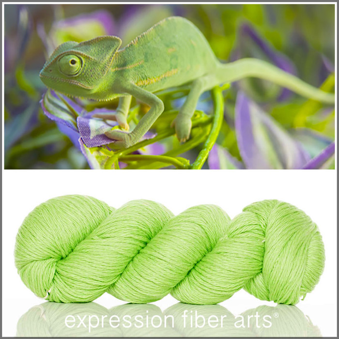 BASHFUL CHAMELEON - 'COZY' Limited Edition Worsted Wool Yarn