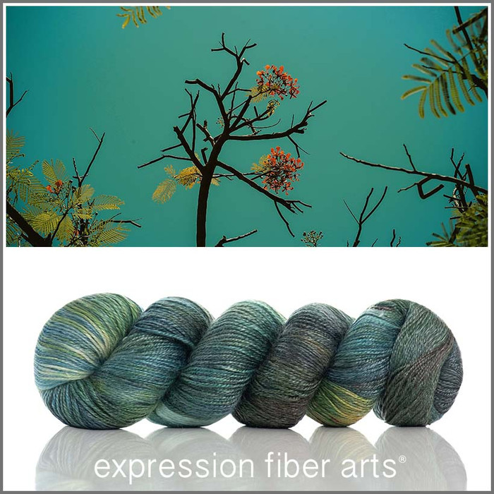 Pre-Order Catharsis 'LUSTER' SPORT