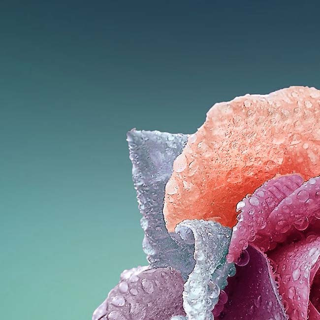 HONORABLE - March 2019 Insider's Yarn Club + Paint Palette Pin