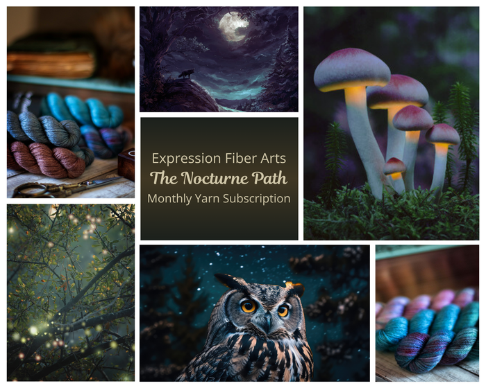 Pre-Order Positive Intention of the Month - Monthly Subscription Yarn