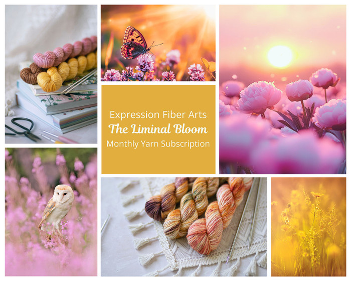 Pre-Order Positive Intention of the Month - Monthly Subscription Yarn