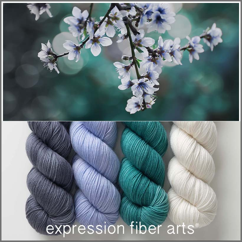 Saturday Hues 'SINCERE' SOCK KIT Expression Fiber Arts