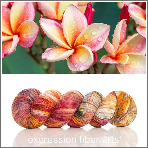 Plumeria 'COSMIC CONFETTI' FINGERING - Expression Fiber Arts