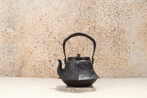 Antique Japanese cast iron kettle (tetsubin) with horse from the Meiji period, circa 1880s, crafted by the renowned foundry 信龍堂 (Shinryūdō) (22J-208) - Image 2