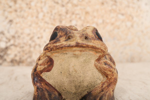 Vintage Japanese Ceramic Frog (Kaeru) — 1980s, Showa Era (SKU: 25M-572-5) - 2