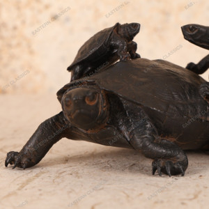 Antique Japanese Tortoise — Bronze (SKU: 25S-725) - 