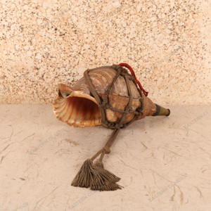 Antique Japanese Conch Shell Trumpet (SKU: 25D-435-1) -