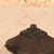 Vintage Japanese Bronze Suiteki Water Dropper, Early Showa 1927-1945 | SKU: 26J-0647 - 5
