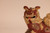Japanese Shishi Lion Kutani Okimono Display Statue (23M173)