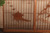 Vintage Japanese Shoin 3 Panels Ranma Lattice (24J-459)