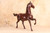 Japanese Art Figurine Statue Horse (24J-329)