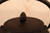 Vintage Japanese Tetsubin Iron Kettle (24J-350-4)